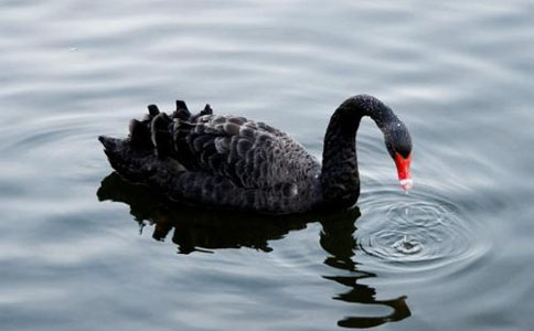 油价深V反弹紧咬50大关 API料二连增谨防黑天鹅