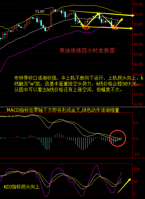 API意外大降 油价筑W底恐推油价再上51  